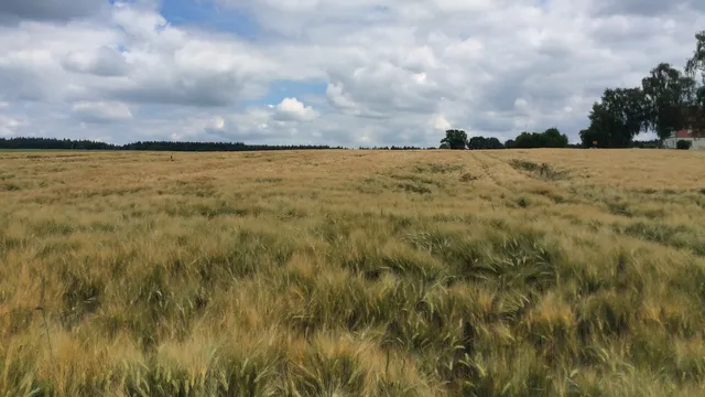 Ferienwohnung am Reinhardswald