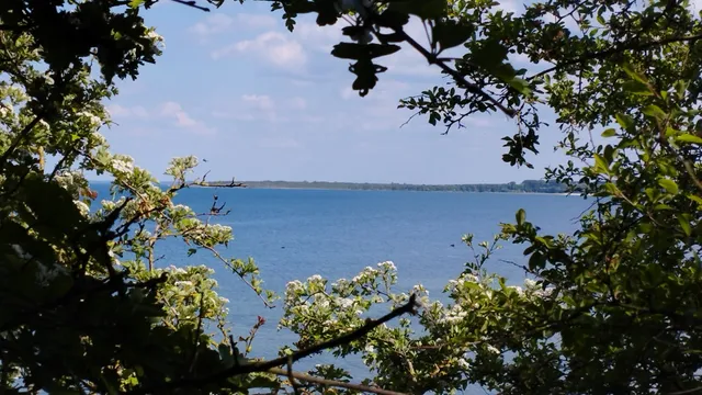 Strandvilla Waldhaus