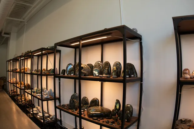 Dimitridon Studios Rock Shop Ludington