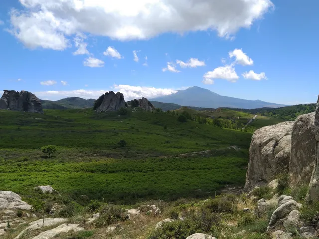 Riserva Naturale Orientata Bosco di Malabotta. Rocche d'Argimusco