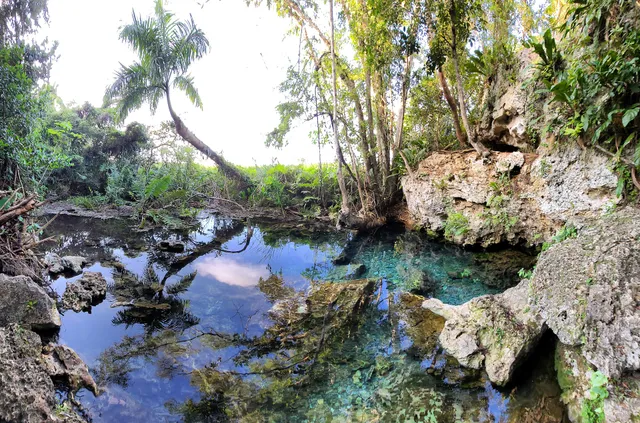 Manantial De Guayaney