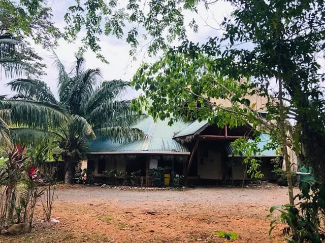 La Palapa Hut Nature Hostel