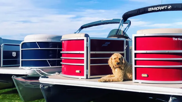 The Narrows Yacht Club