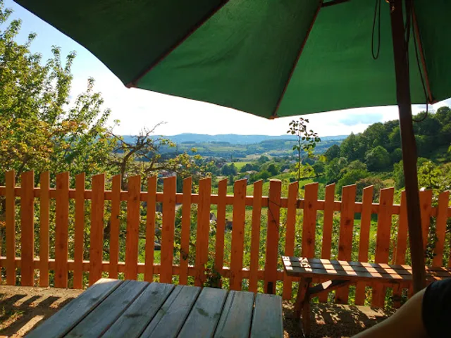 Bioweinbau/Buschenschank Schmallegger