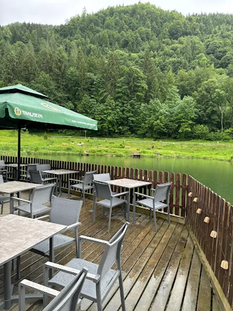 Forellenstation am Prefelnigteich