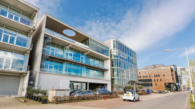 Hot ITem | Business & IT