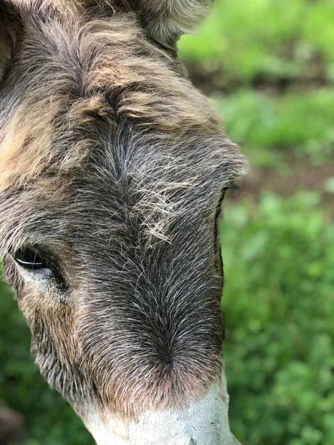 Field House Farm, LLC