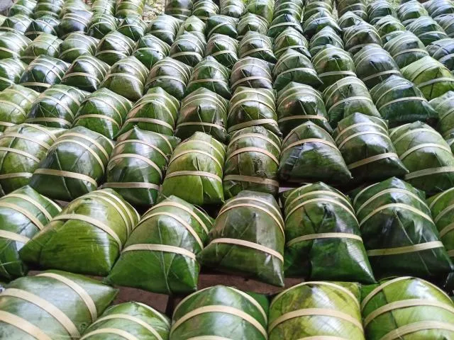 Bánh chưng trung tình