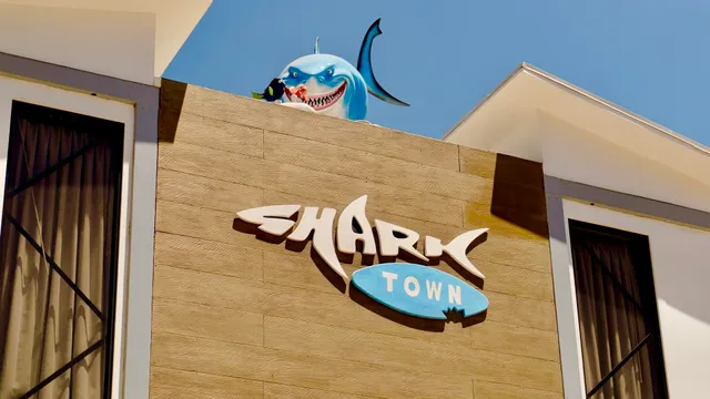 Shark Town - Mal Pais