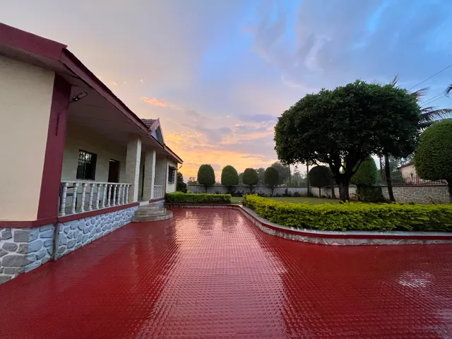 Kamshet green paradise