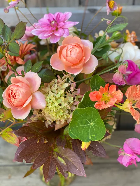 Celebrate the Season