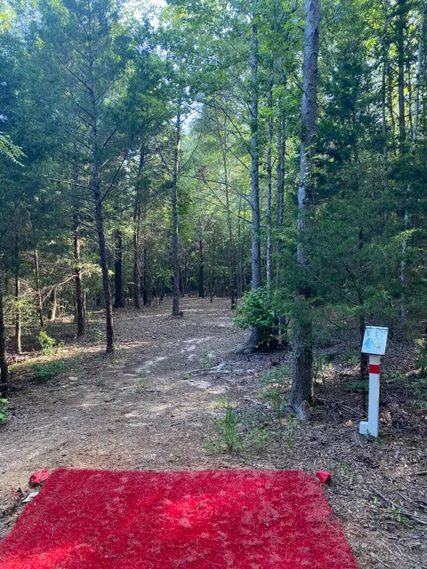 BlackBerry Pines - Disc & Camp