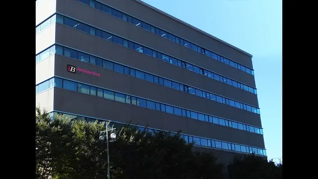 Instinctive Branding