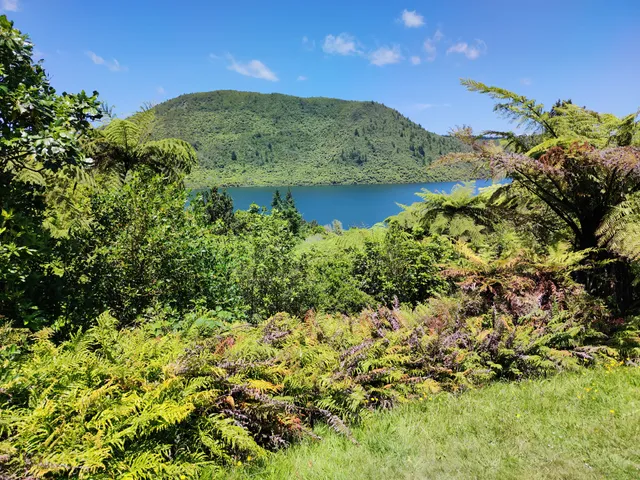 Lake Tikitapu (Blue Lake)