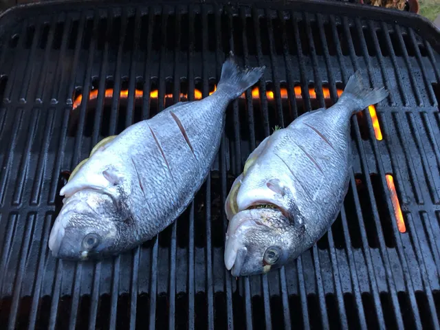 Skrillinge Strand Fisk (Detailforretningen fredagsåben)