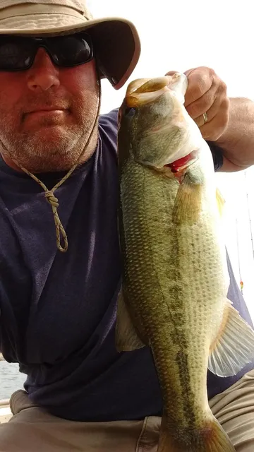 Freeport Car Care Center