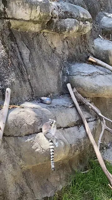 Oakland Zoo Gift Shop