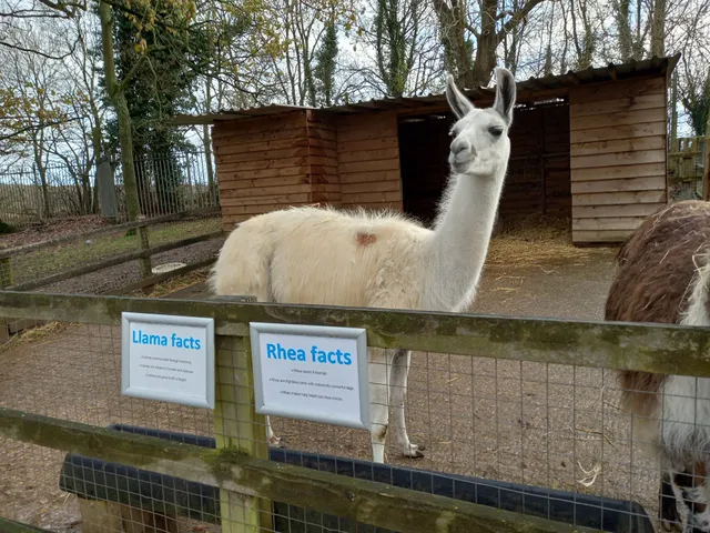 Woodside Animal Farm