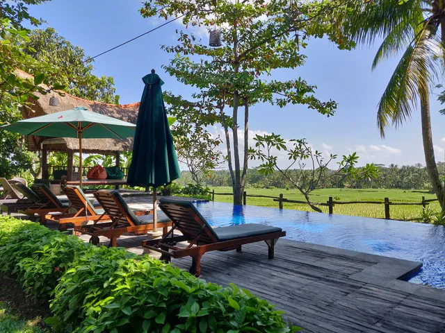 Pohon Jiwa (formerly Omah Apik)