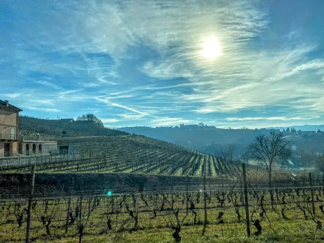 Pilates In Piemonte (Casale dell'Acero Rosso)