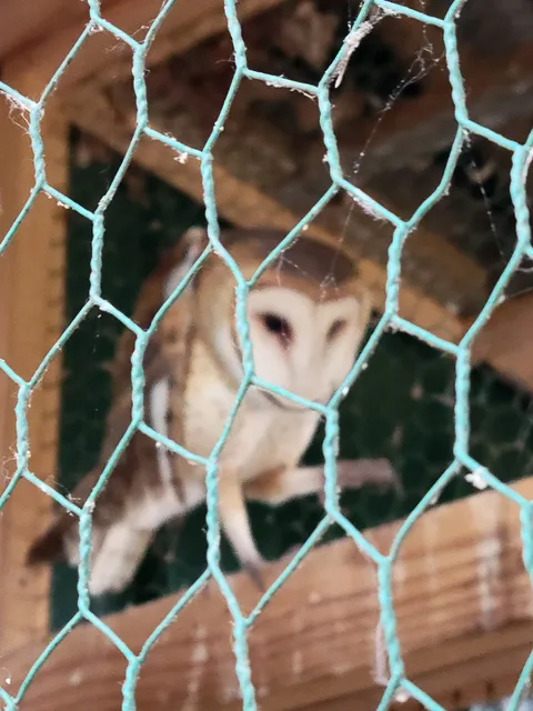 Paris Landing Visitor Center/ Park Office