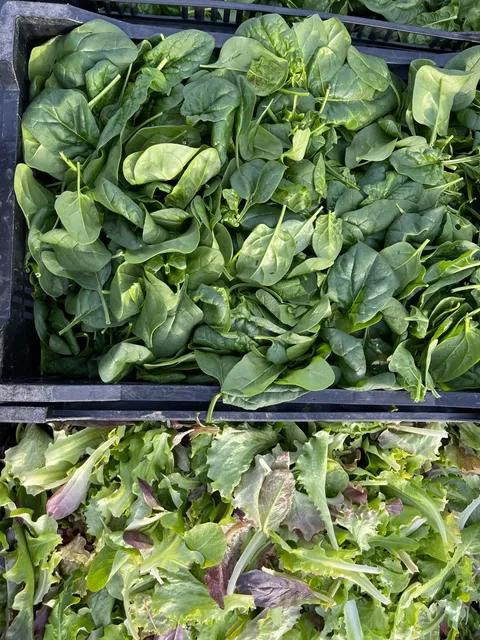 Kennett Square Farmers Market