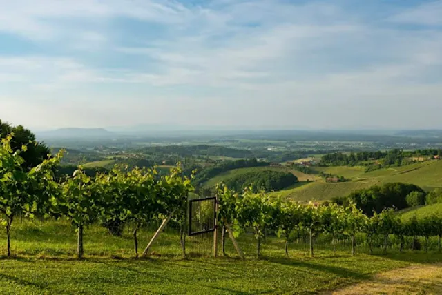 Weingut & Buschenschank Gallunder