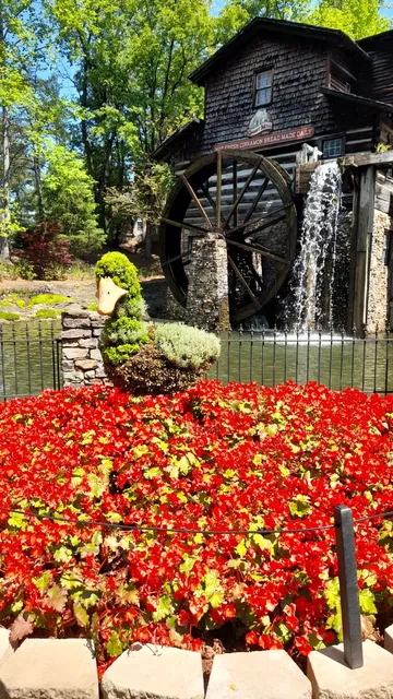 Dollywood