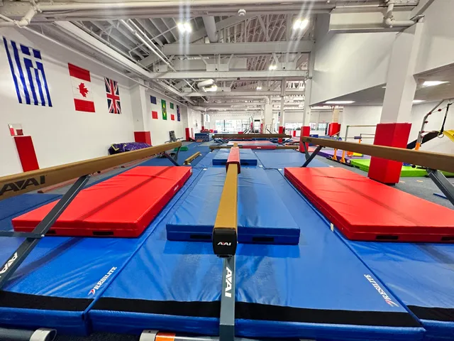 Gold Medal Gymnastics & Ninja