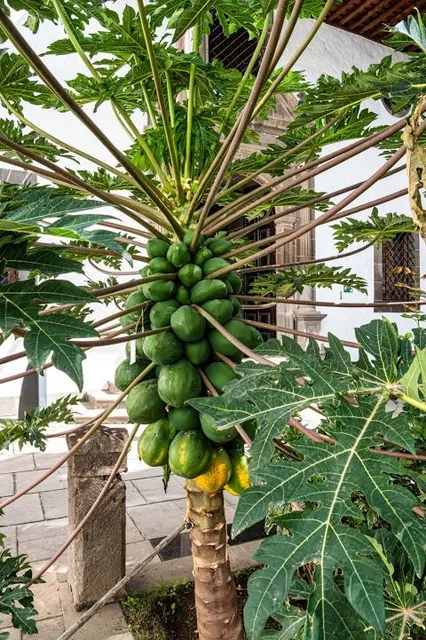 Diocesan Museum of Sacred Art