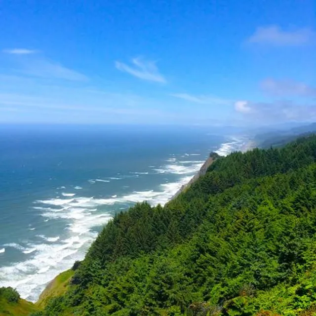 Cape Sebastian Trail