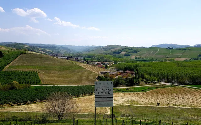 Azienda Agricola Le Ginestre S.s.