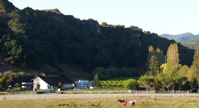 Claiborne & Churchill Winery