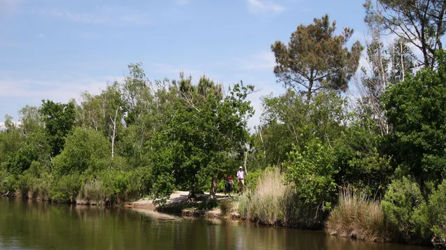 Réserve Ornithologique Du Teich