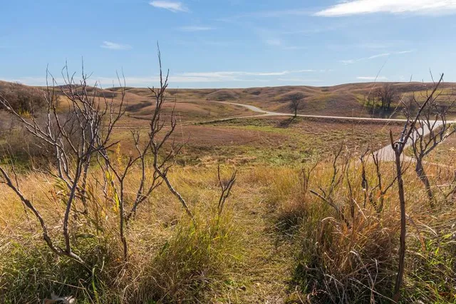 Forest Home Township