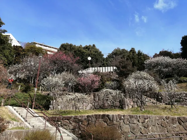 Okamoto Park (Plum Garden)