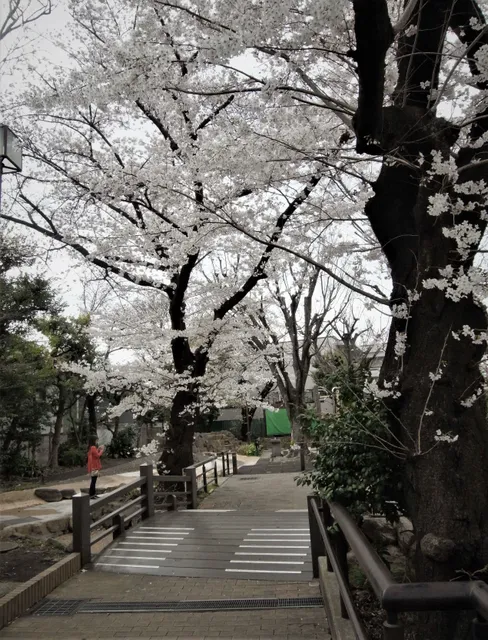 Nakamachi Seseragi Green Space Park