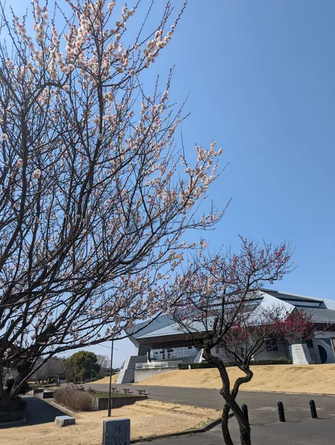 Kanakubo Sports Park