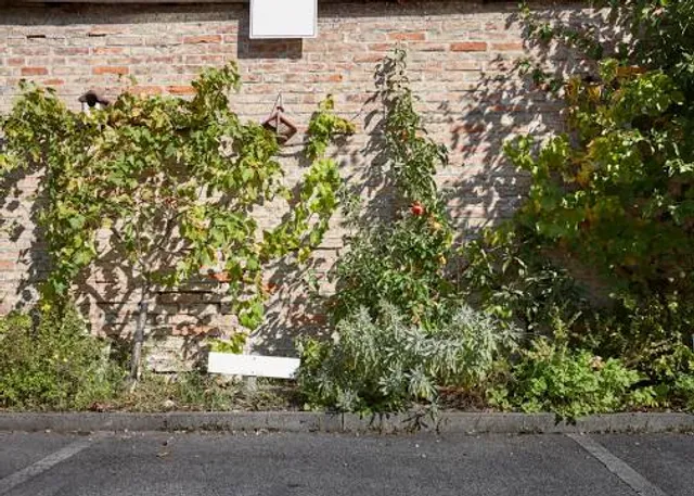 Museum de Fundatie/Kasteel Het Nijenhuis