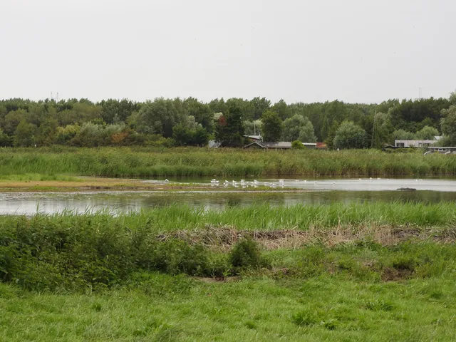 Landje van Gruijters