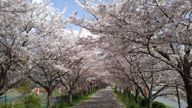 Kanaya Kasenjiki Park