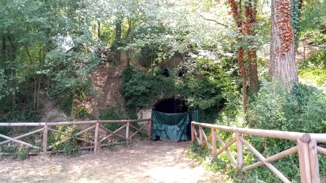photo-2