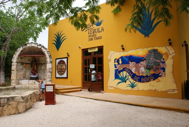Museo Del Tequila DON TADEO