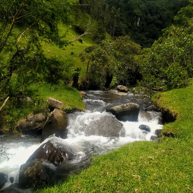 place image