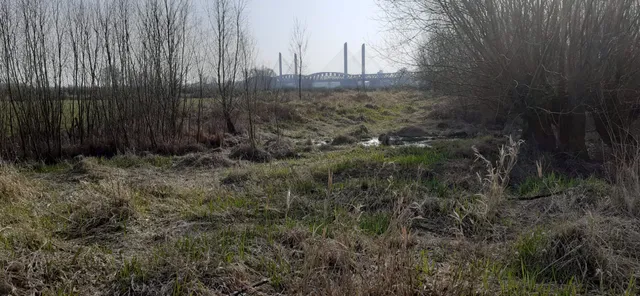 Trage Tocht Neerijnen