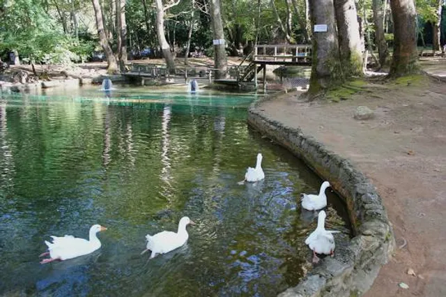 Agios Nikolaos Park