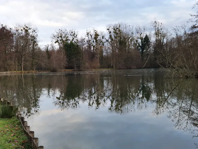 Les fontaines bouillantes