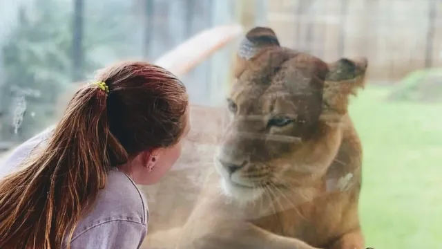 ZooWorld Zoological Park