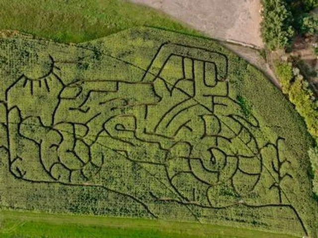 Brooks Corn Maze