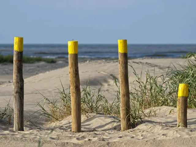 Sea Shell Beach - Pocket Park #3